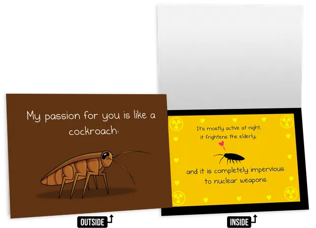 exploding-kittens-cockroach-gru-karte-nsfw-freundschaft image 1