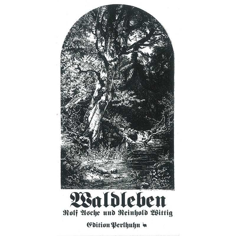 abacusspiele-cacao-waldleben-brettspiel-edition-perlhuhn image 4
