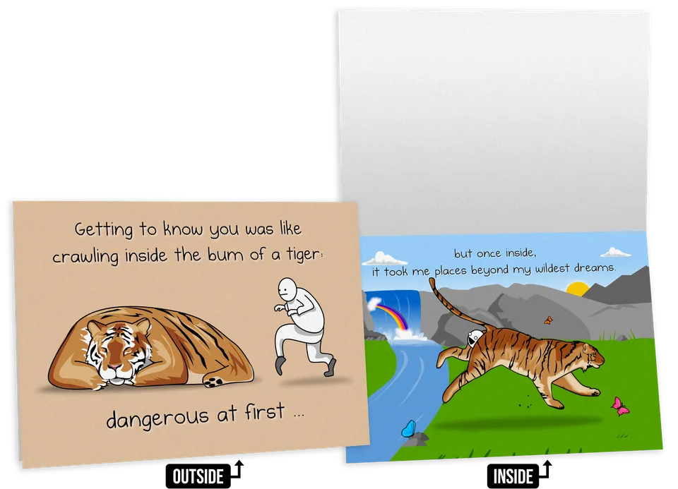 exploding-kittens-tiger-gru-karte-nsfw-liebe-freundschaft image 1