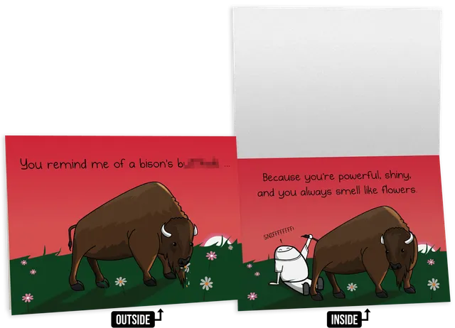 exploding-kittens-bison-nsfw-freundschaftskarte-gru-karte-einzeln image 1