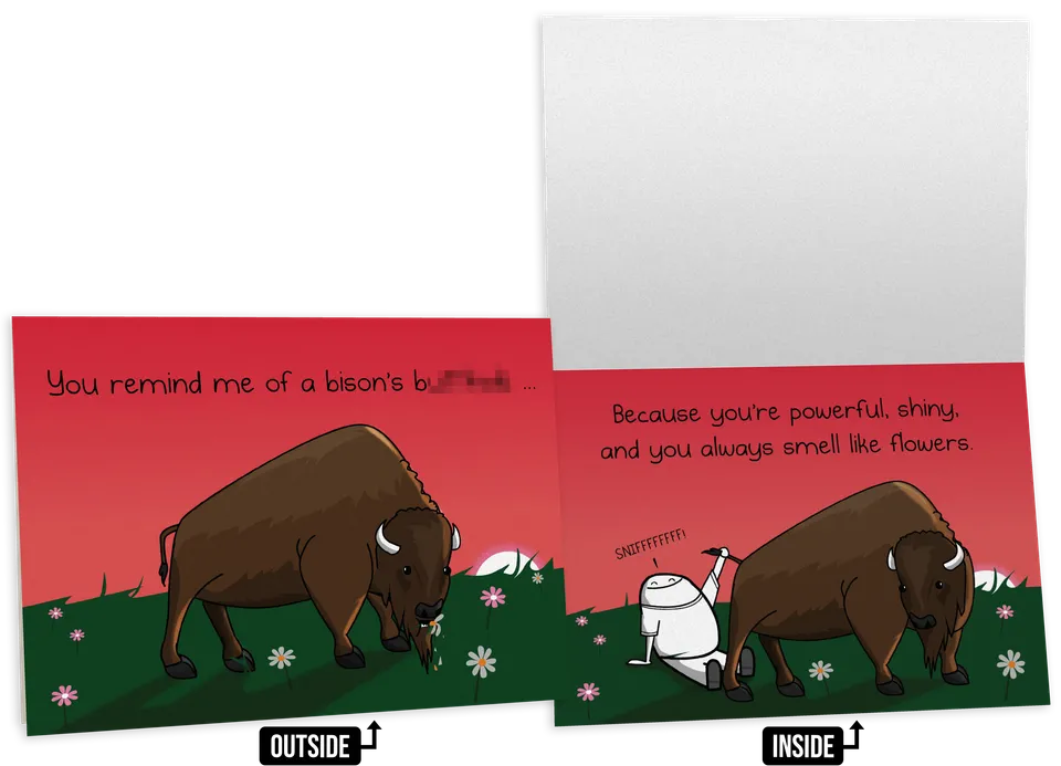 exploding-kittens-bison-nsfw-freundschaftskarte-gru-karte-einzeln image 1